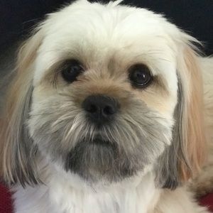 Meet your Posher, Pam